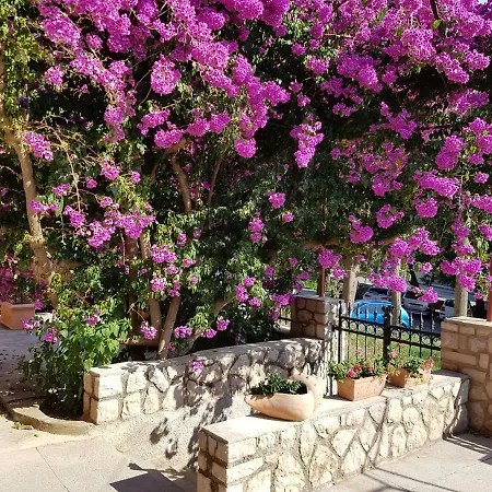 Guest house Apartments And Rooms Rosemari Mali Losinj